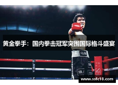 黄金拳手：国内拳击冠军突围国际格斗盛宴