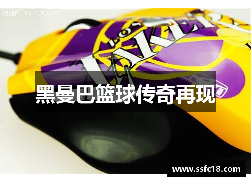 黑曼巴篮球传奇再现